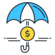 assets-protection